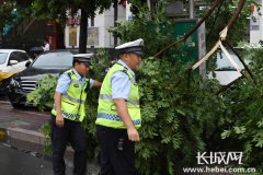 澳门金沙网址车辆完全不能通行