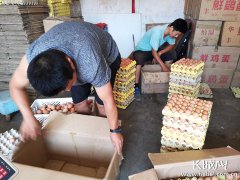 澳门金沙官网石家庄市鸡蛋价格已连涨了4周