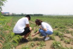 澳门金沙网站暑期“三下乡”社会实践活动之安国药都七十年飞速发展