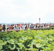 澳门金沙官网“千万人口俱乐部”究竟有啥吸引力？